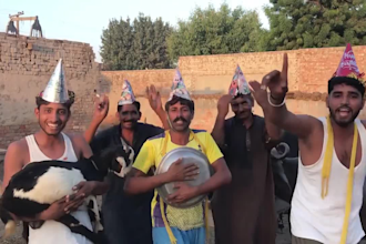 wish african happy birthday video or indian spokesperson