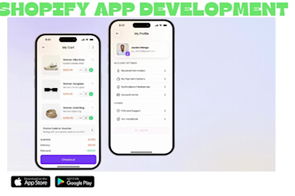 be your shopify app developer, deploy and convert store to app,fix app issues