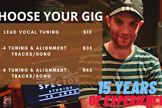 edit and tune your vocals to perfection, 15 years experience
