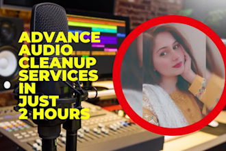 do audio editing to remove noise, wind, echo, repair and clean audio