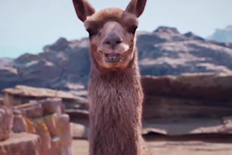 integrate realistic cgi animal models, 3d animal rigging, cgi animal animation