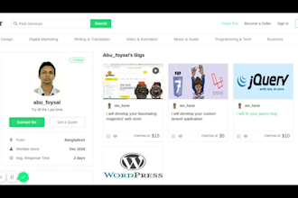 fix your wordpress issues, wordpress bugs and do customization