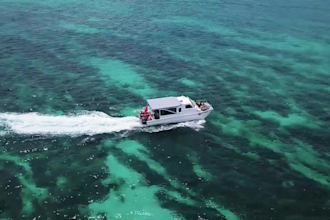 edit your travel, drone, vlog, gopro videos professionally