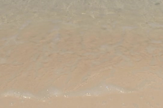 make Waves Reveal Your Message or Logo