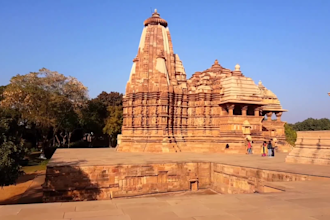 be your videographer for a day in india