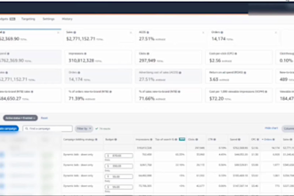 setup and optimize your amazon fba PPC campaigns