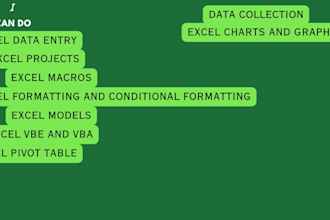 do data entry in ms excel efficiently, deliver work in time,