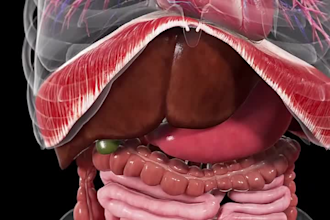 create detailed 3d medical animations for education and presentations