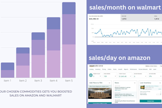 manage amazon walmart dropshipping 3pl 2step safe expert VA