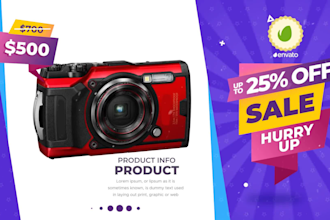 make an awesome professional promotional video for your product within 24 hrs