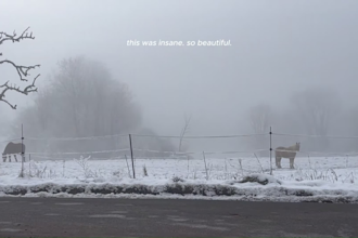 edit your youtube vlogs in a aesthetic and professional way