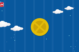 create Animated Video Presenation Within 48hrs