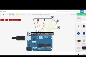 develop custom arduino projects and programs for you