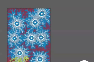 personally hand trace your vector file with care