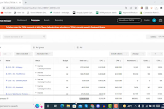 create, run and manage tiktok ads for your shopify dropshipping store