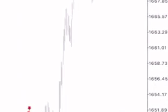 deliver a profitable forex trading robot, forex ea, gold ea, auto trading bot