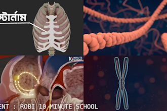 create 3d explainer videos,academic,medical or mechanical
