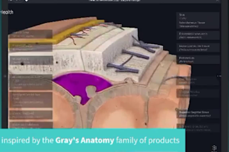 3d anatomy medical animation, medical illustration, 3d medical surgery animation