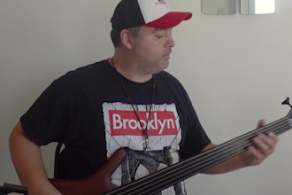 play fretless bass for you