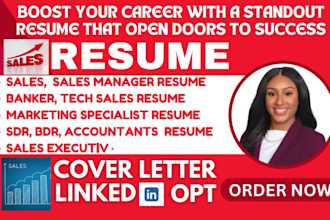 write sales roles for sales manager tech sales banker finance sdr and bdr resume