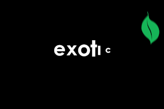 create professional logo motion and motion graphic animation