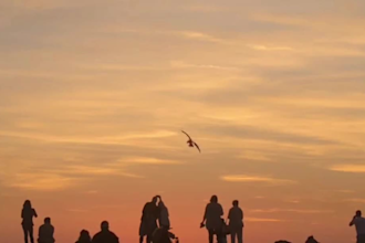 do a motivating inspiring video ad for your brand to  boost