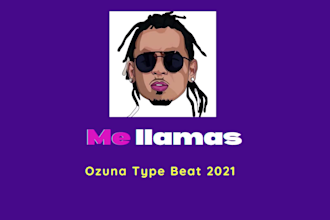 make you a professional reggaeton beat, trap, urban, rap instrumental