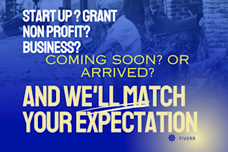 startup or nonprofit advisory plan with mentoring