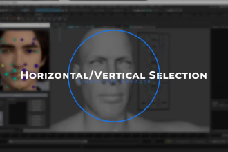 develop a facial rig in maya within 24 hours