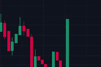 2d memecoin animation, 2d animation, crypto meme video, meme character, meme art
