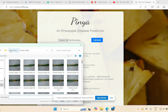design and deploy end to end image classification systems