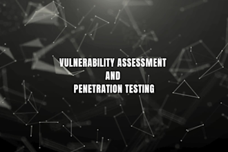 perform vulnerability assessments and penetration test