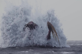 do 3d water animation, fluid simulation, cgi liquids animation