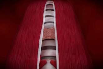 captivate your audience with 3d medical animation, 3d animation explainer video