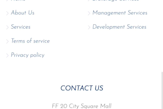 develop website for you