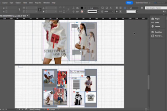 design a professional magazine with free cover