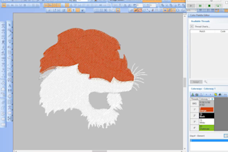 do quailty  embroidery digitizing into dst,pes,i n 1 hour