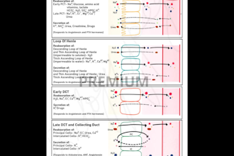 draw academic illustrations, scientific figures and infographics
