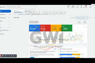 setup and run google ads, adword PPC campaigns for ecom businesses
