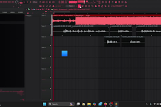 professionally mix and master your song