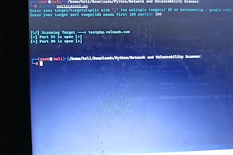 conduct penetration testing, red teaming and assessments