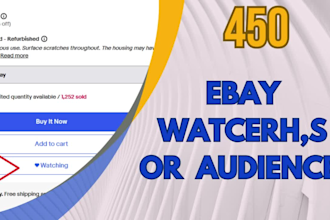 do setup or improve your ebay store products to 450 audience