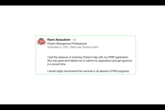 write portfolio experience summaries in pmi pfmp application