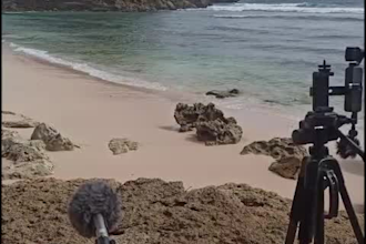 film real rain video with original sound up to 10 hour