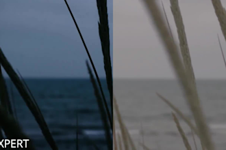 do professional video color correction and grading