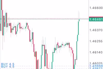 develop profitable forex trading bot forex trading robot profitable ea bot