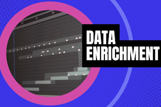 do precise data entry and enrich your leads or contacts