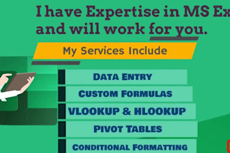 assist you with excel formulas,macros, charts and data entry