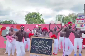 african happy birthday video african happy birthday video
