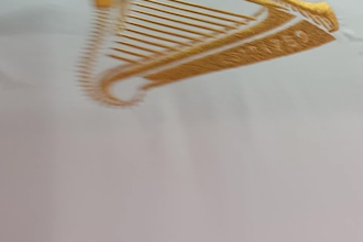 do embroidery digitizing into any file format in 2 hour